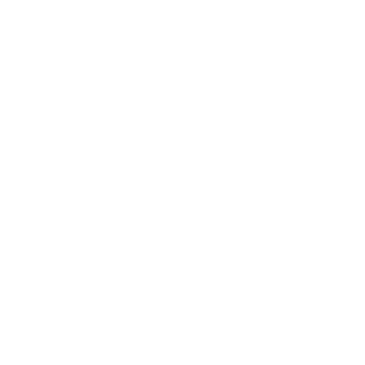 Steam